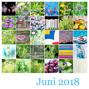 365-Tage-Projekt Mosaik Juni 2018
