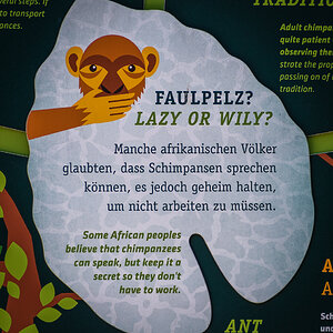 sprachlose Schimpansen