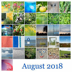 Mosaik 2018 08