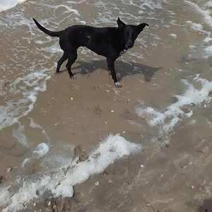Texelurlaub, schwimmen ist toll