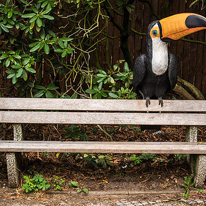 Vogelbank 1
