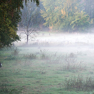 Herbstweide 1
