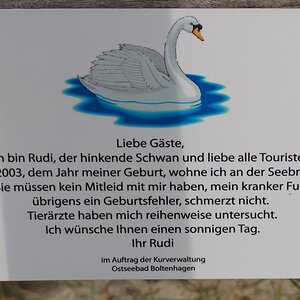 Boltenhagen Schild Rudi an der Seebrücke