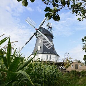 Föhr 00289