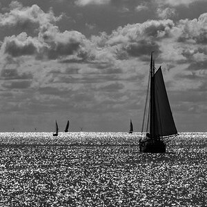 DSC0675 w