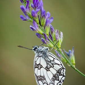 D714375