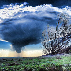 Wolke1200x800