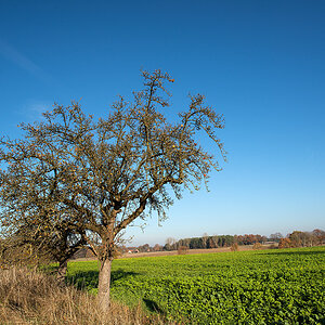 Novemberhimmel