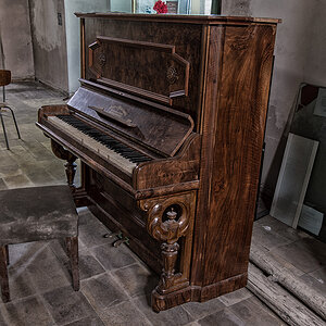 DSC 8631