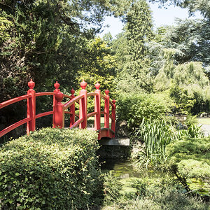 Brücke National Stud