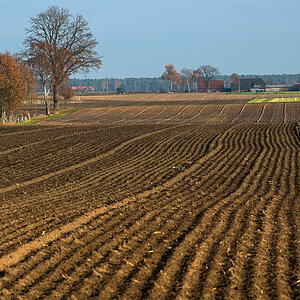 Herbstliche Feldmark