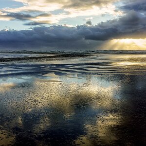 TZ DSC02666 A