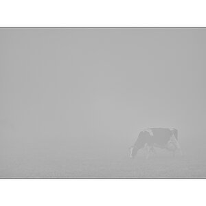 MorgenPZ1 8953
