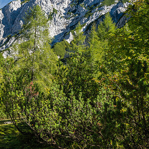 Bank im Karwendel