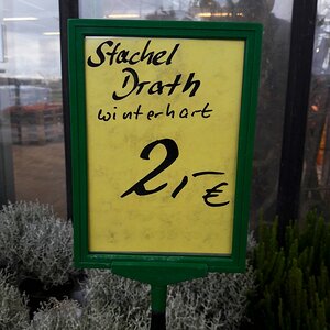 Stacheldrath