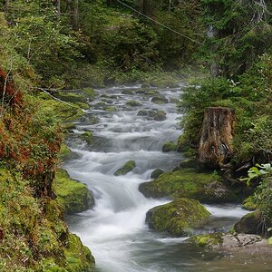 Schwarzwasser
