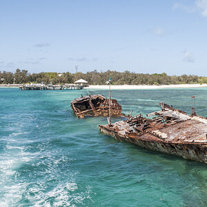 Wrack Heron Island