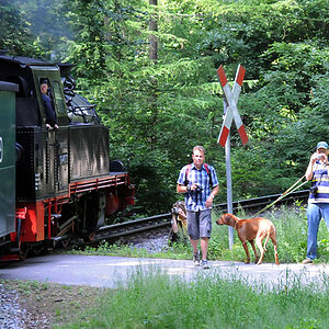 Rasender Roland, Rügen