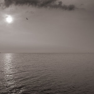 Meer7460b