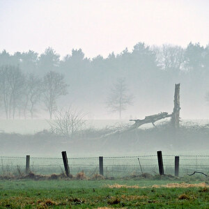 Abendnebel0001 1 klein