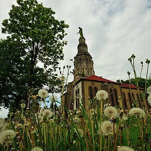 2009 05 01 03 Fronkraisch D7C 8498