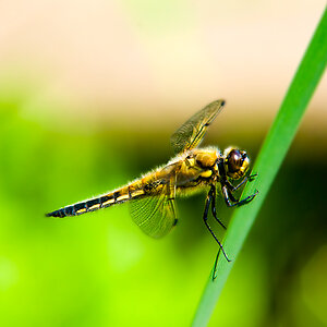 test2