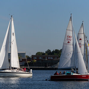 DSC1387