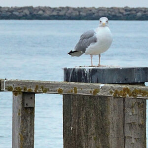 test1 ausschnitt