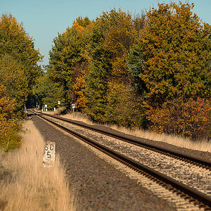 Herbstgleis 2