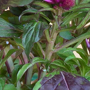 test4 (1) 18 140 MF