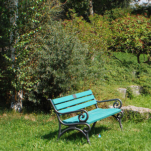 DSC 0538 forum crop 100