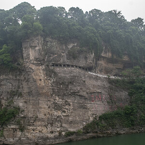 China100