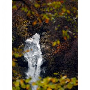 FaiscPZ1 8984