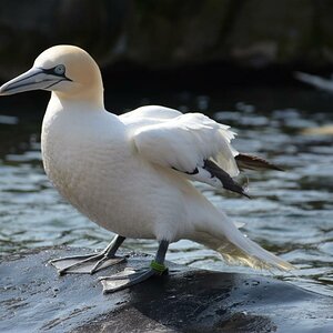 Zoobesuch