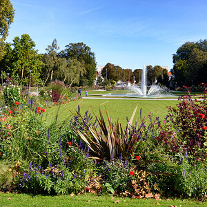 friedrich ebert park