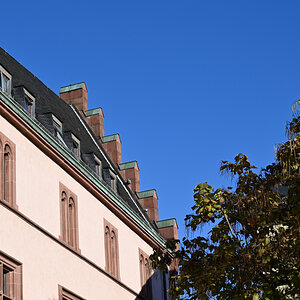 DSC 0007 NFF