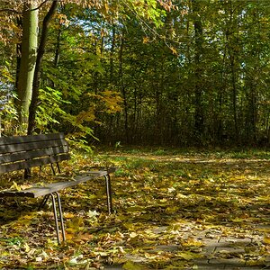 Herbst 05