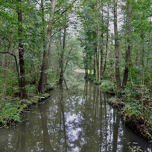 Spreewald