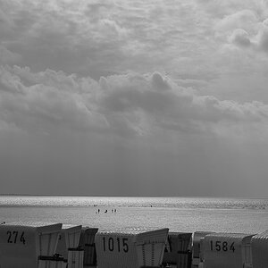 D75 0051x