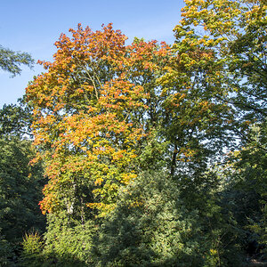 Herbst