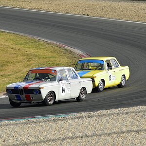 BMW Race (12)