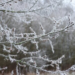 Compressed 0928