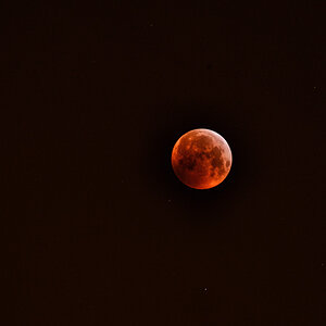 blutMond 1200