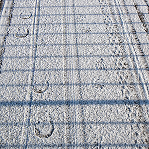 Spuren im Schnee