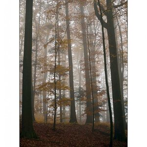MorgenPZ1 9123
