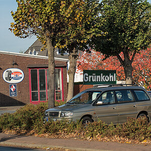 Grünkohl