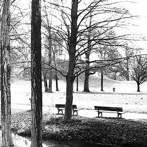 Im Englische´n Garten 02