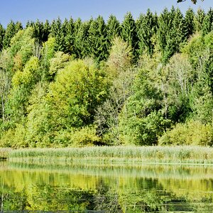 Argenstausee bei Gotrazhofen