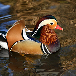 mandarina duck 1200