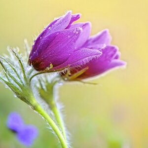 HED8770xkl